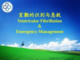 室颤与急救3