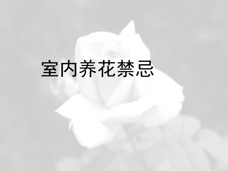 室内养花禁忌_第1页