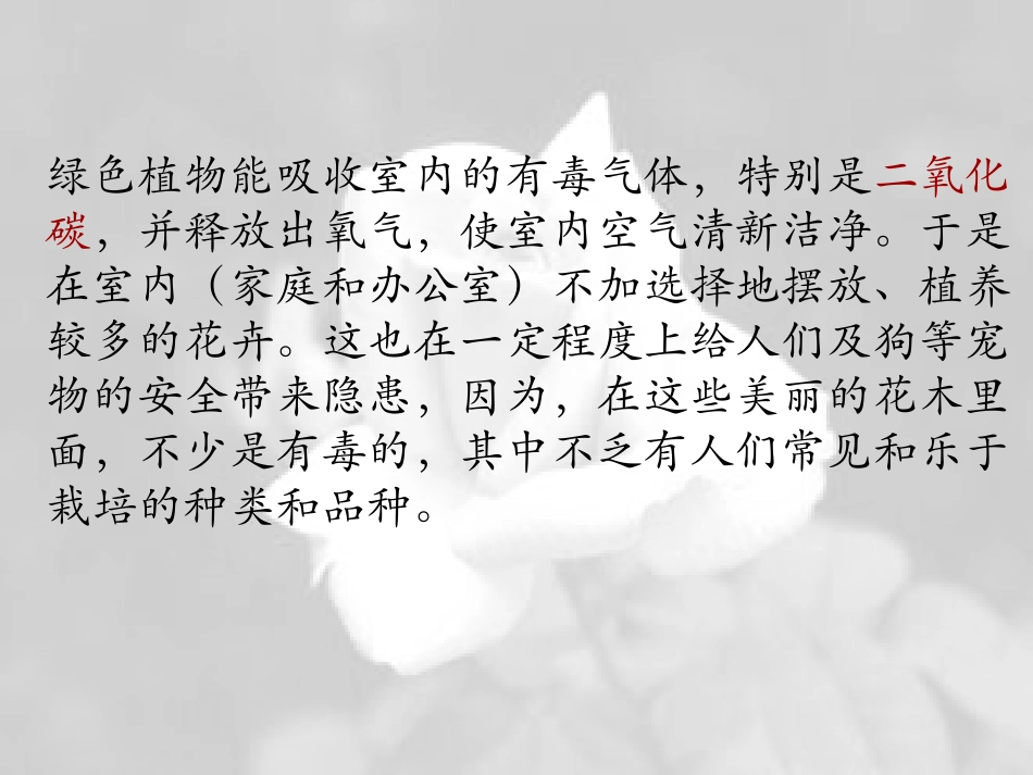 室内养花禁忌_第2页