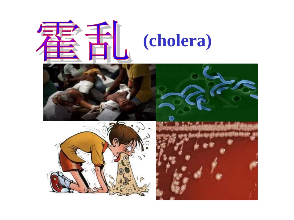 宠物源人兽共患病——霍乱讲义_第1页