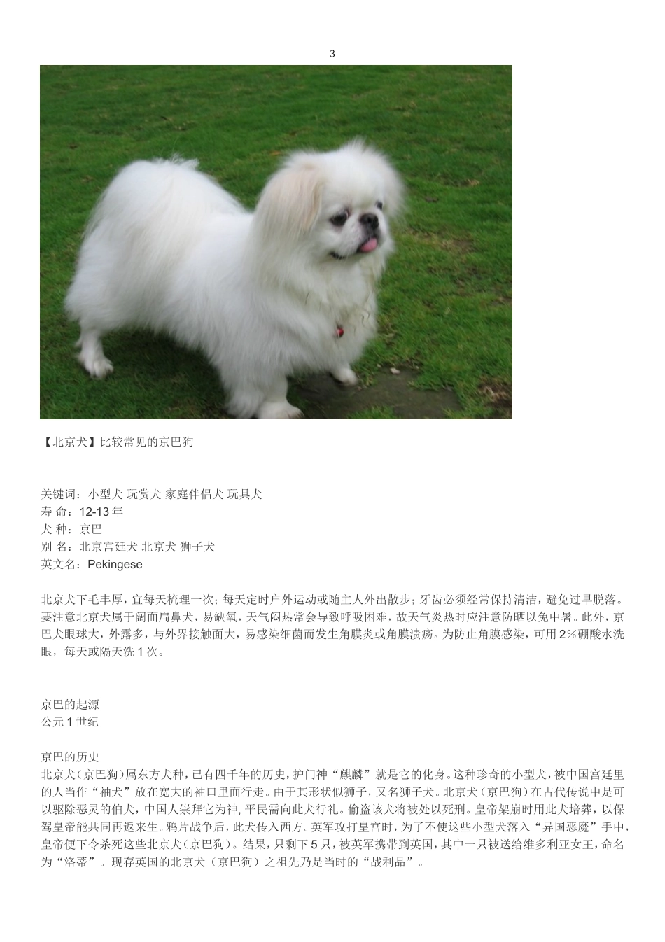宠物狗狗分类介绍大全_第3页