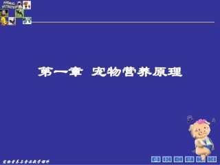 宠物营养学基本知识(能量与宠物营养)分析
