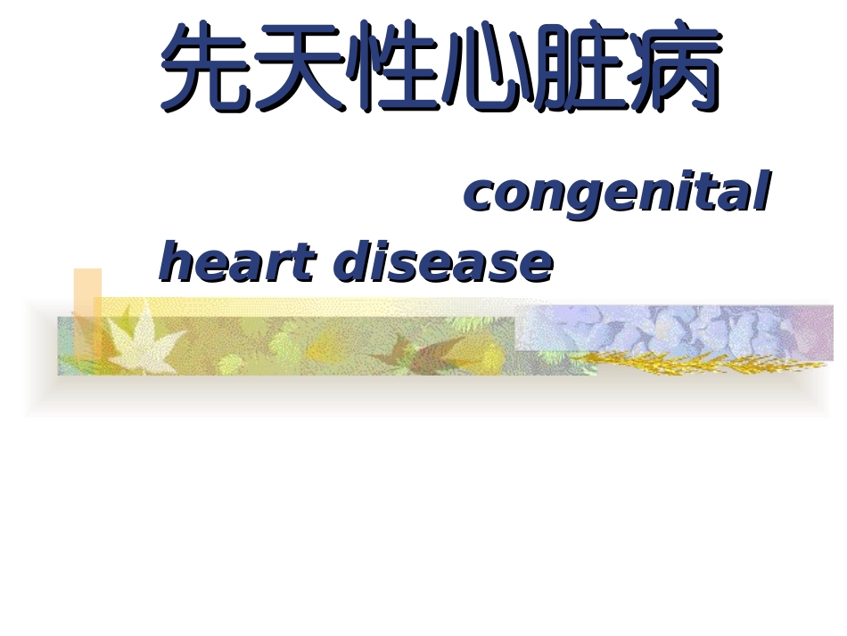 室间隔缺损肺动脉狭窄主动脉骑跨右心室肥厚_第1页