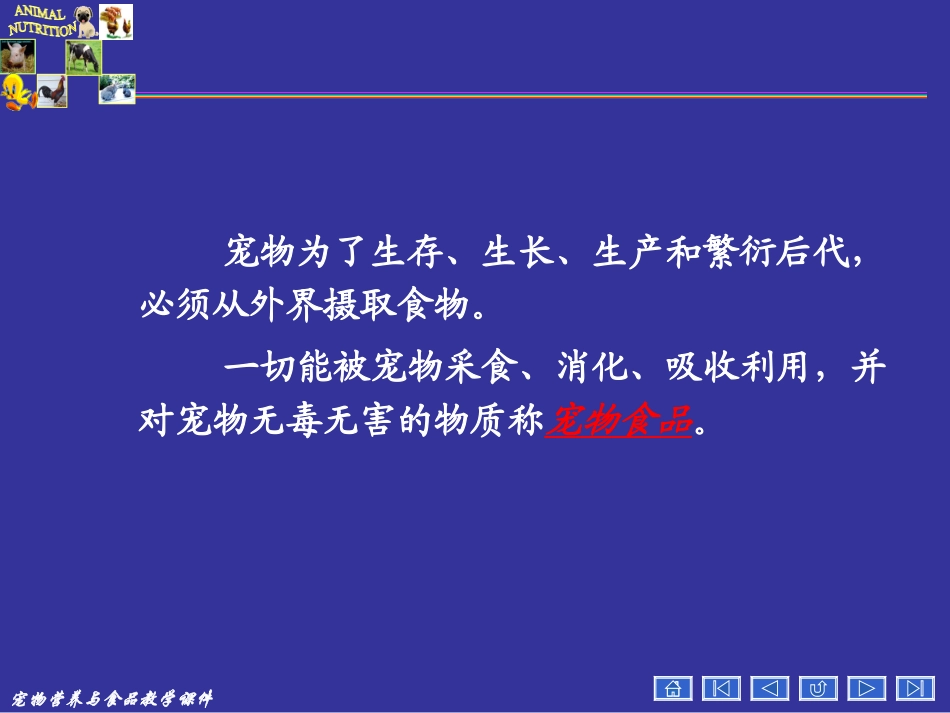 宠物营养学基本知识(能量与宠物营养)_第3页