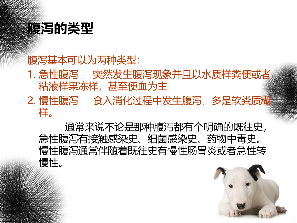 宠物常见疾病诊疗_第2页