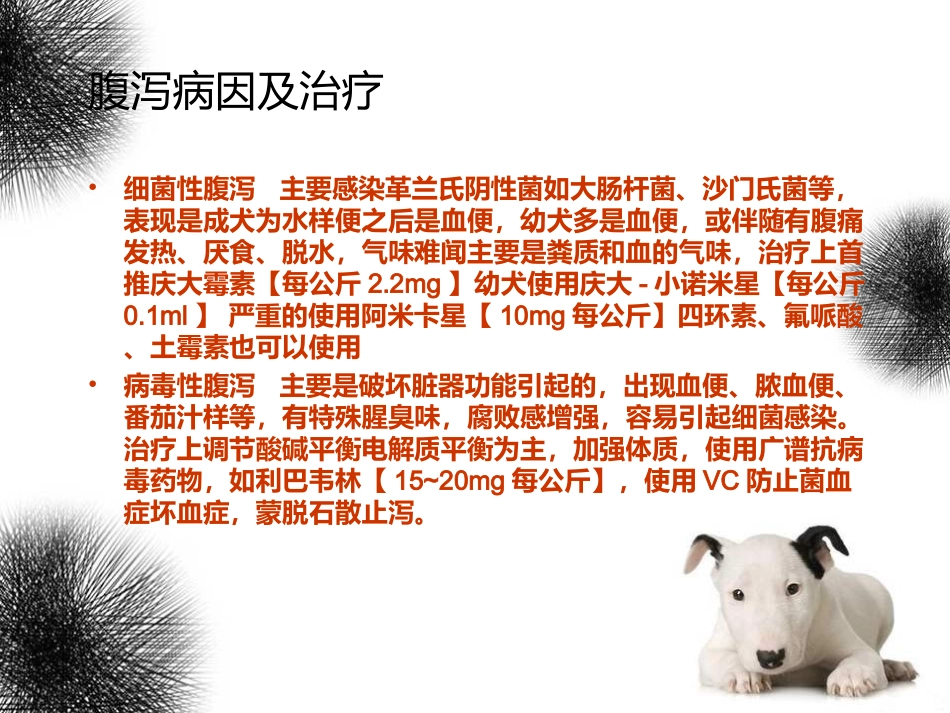 宠物常见疾病诊疗_第3页