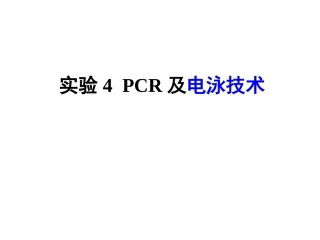 实验四+PCR及电泳技术
