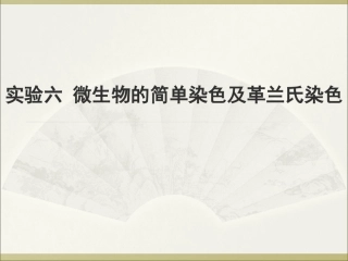 实验六 微生物的简单染色及革兰氏染色