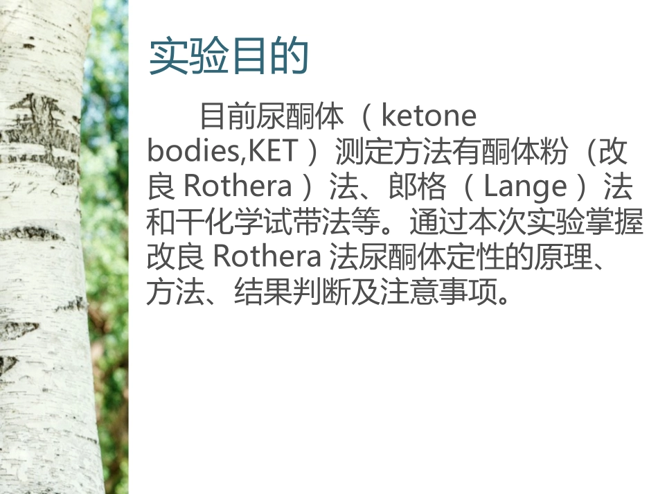 实验一  尿酮体定性试验_第2页