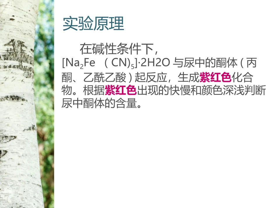 实验一  尿酮体定性试验_第3页