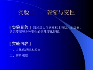 实验二萎缩与变性