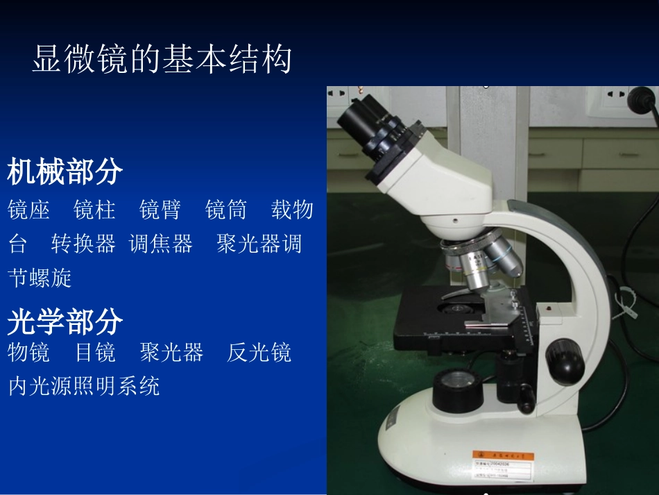 实验一 生物显微镜_第3页