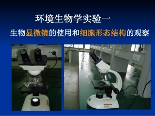 实验一 生物显微镜