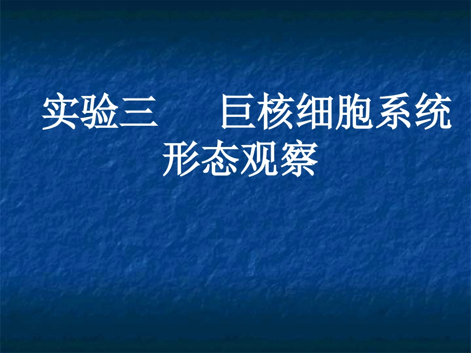 实验三   巨核细胞系统形态观察_第1页