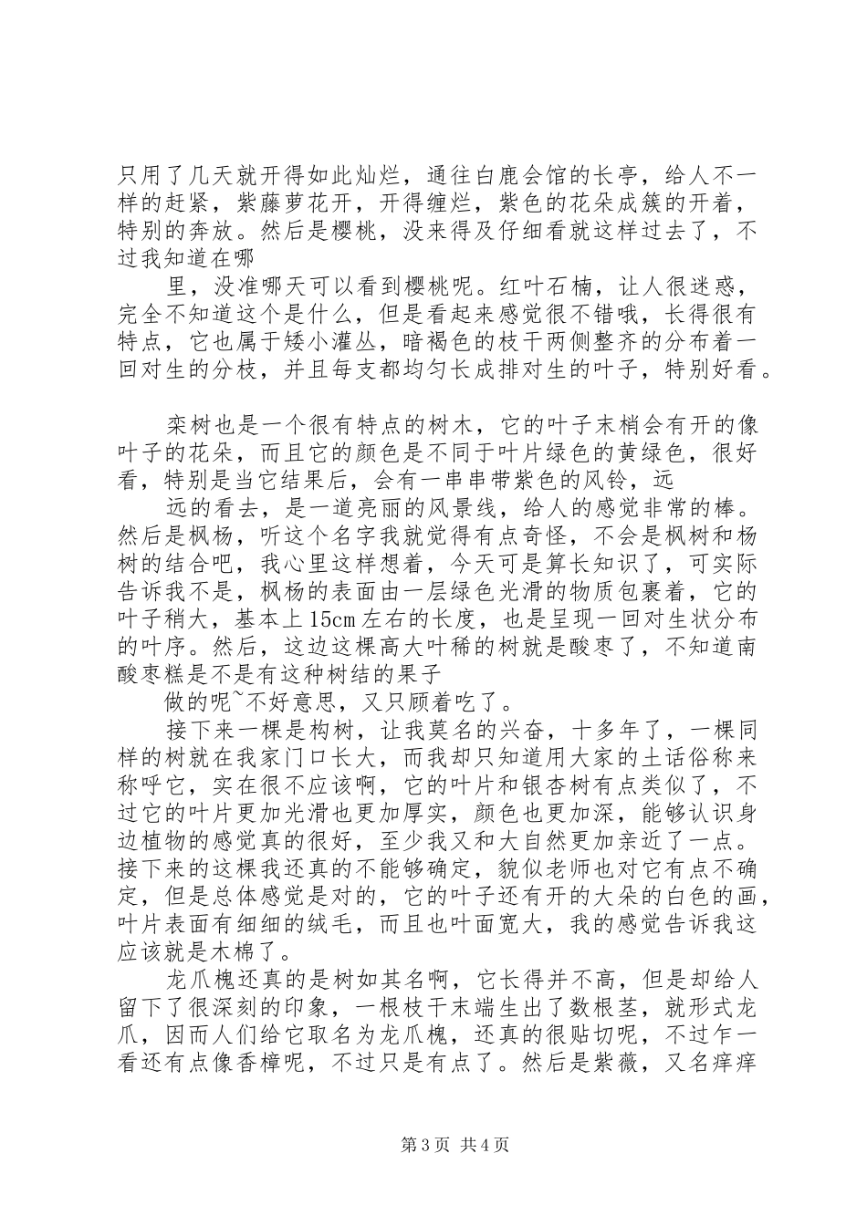 关于黎族植物文化的感想_第3页