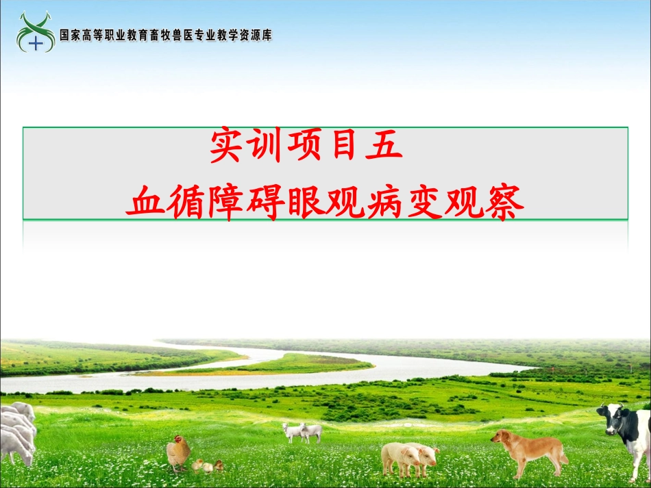 实训5血循障碍眼观病变观察._第1页