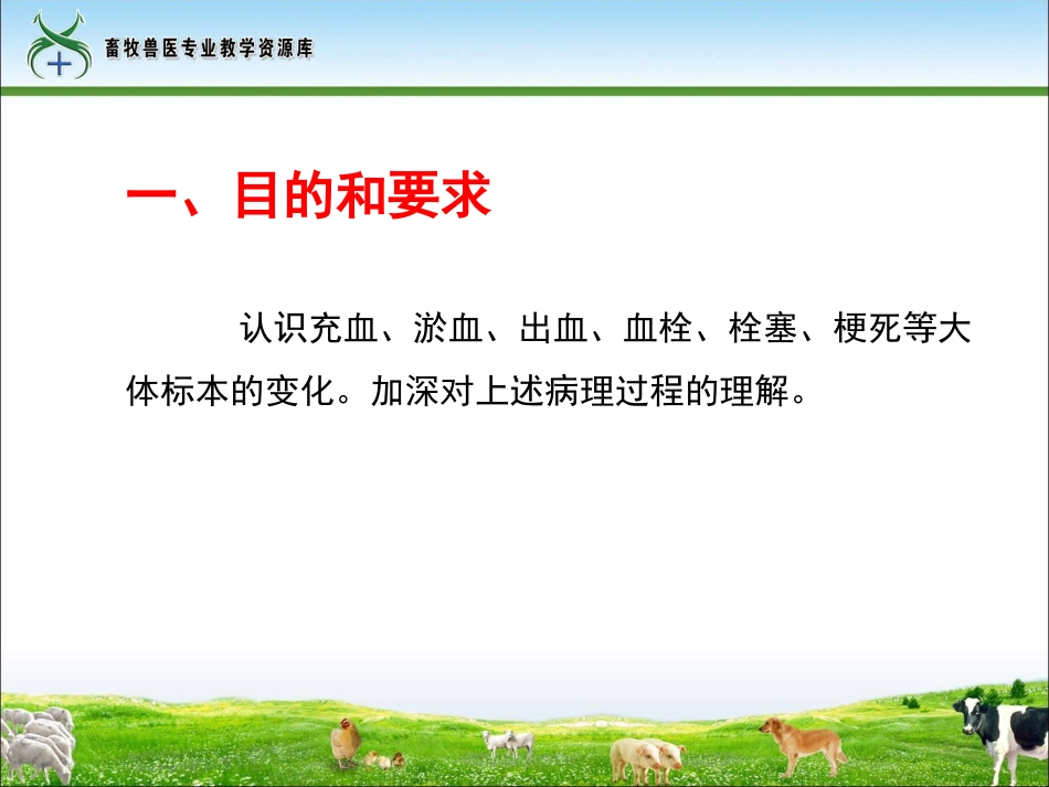 实训5血循障碍眼观病变观察._第2页