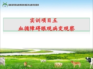 实训5血循障碍眼观病变观察.