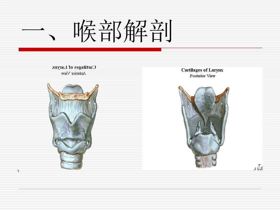 实用气管插管术_第1页