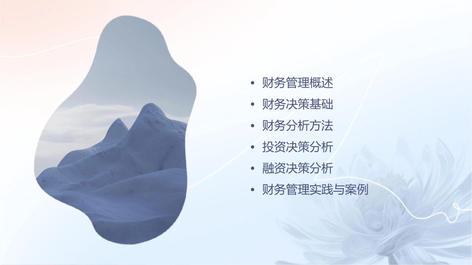 财务管理与决策课件_第2页