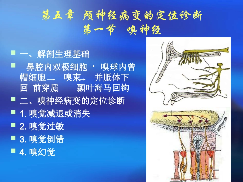定位定性诊断_第2页