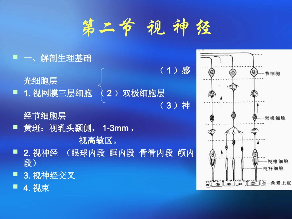 定位定性诊断_第3页