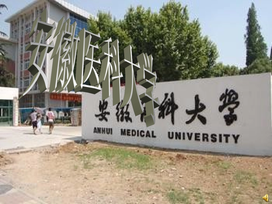 安徽医科大学综述_第3页