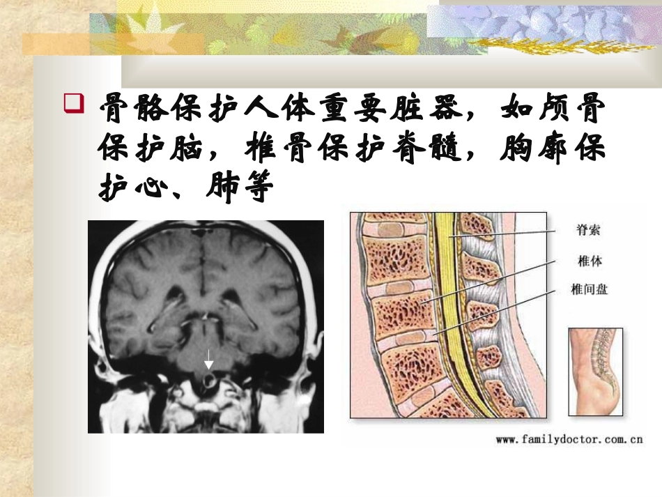 它与骨质疏松症关系密切_第2页