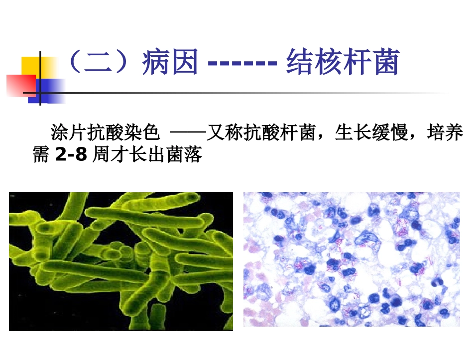 学校结核病(学生)_第3页