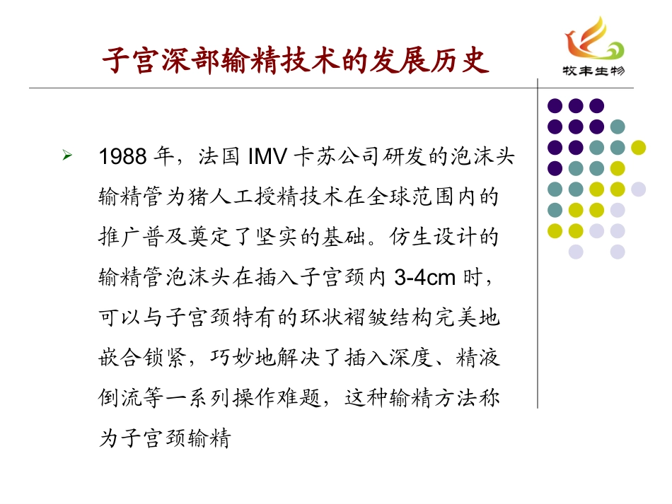 子宫深部输精_第2页