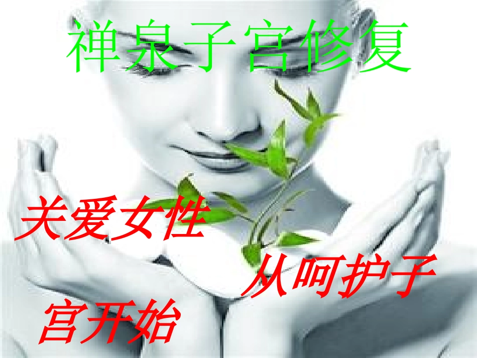 子宫与脏腑的关系_第1页