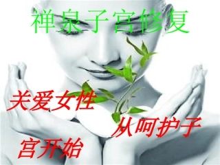 子宫与脏腑的关系