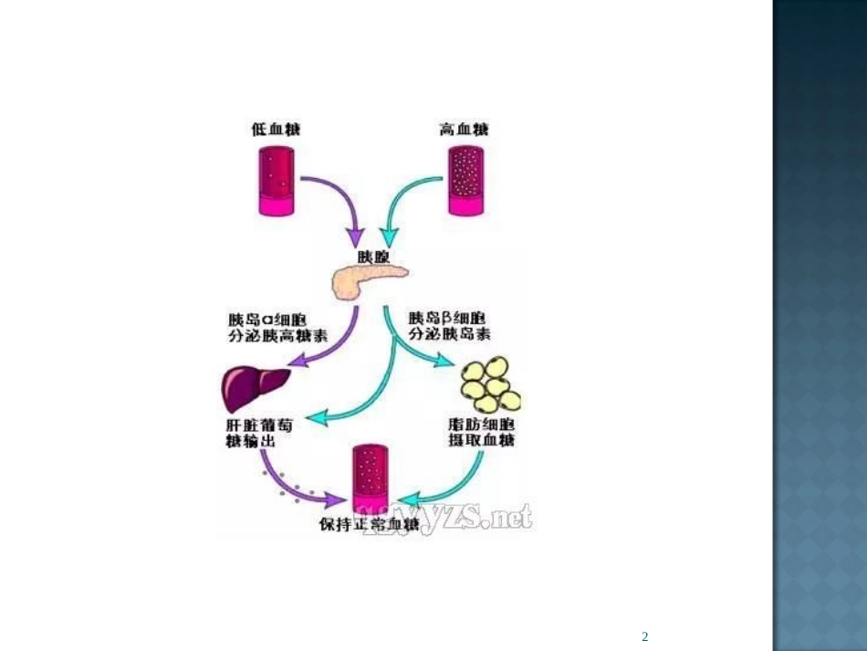 妊娠期糖尿病运动指导_第2页