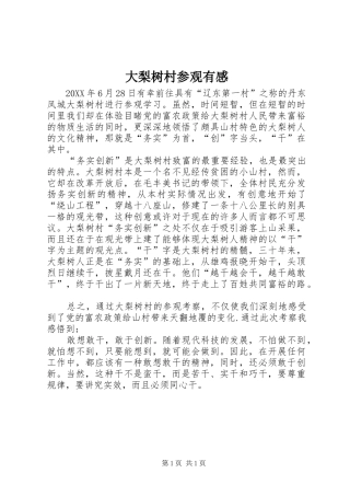 大梨树村参观有感