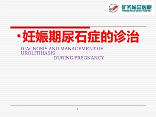 妊娠期尿石症
