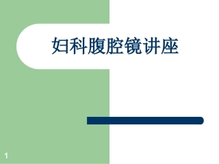 妇科腹腔镜讲座