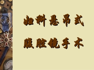 妇科悬吊式腹腔镜手术