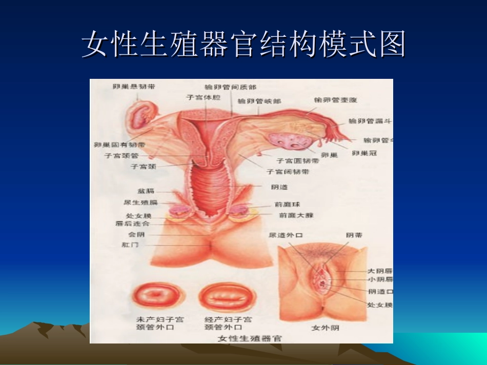 妇科常见病知识讲座_第3页