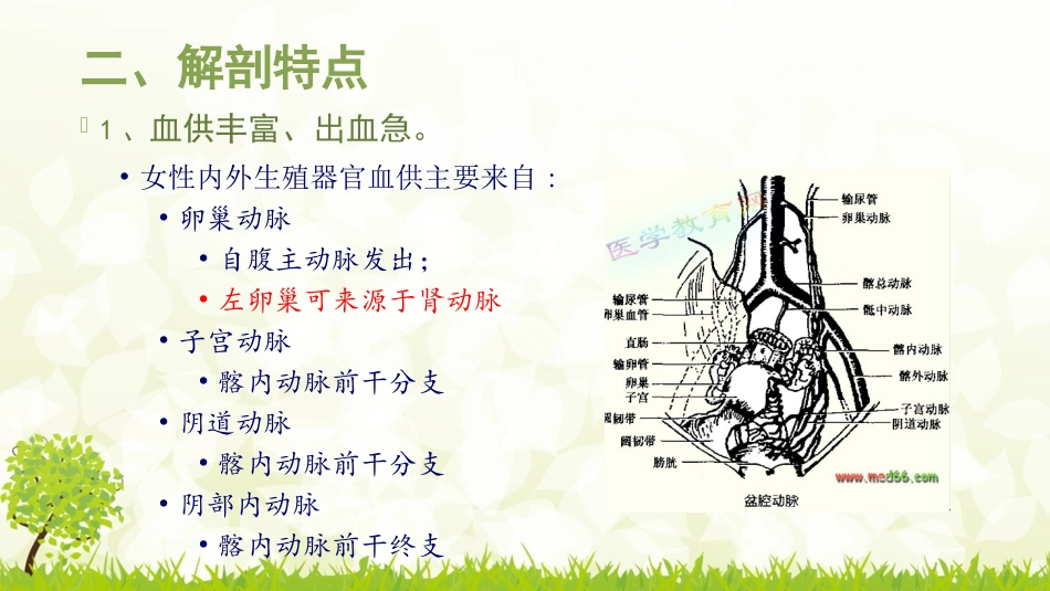 妇科常见急腹症_第3页
