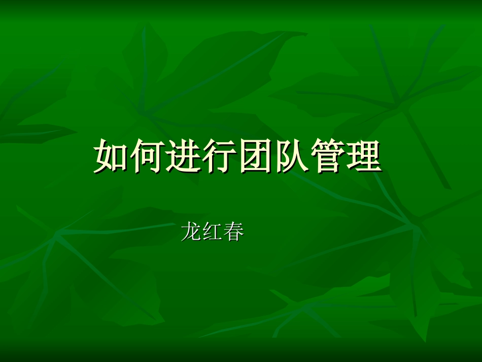 如何进行团队管理_第1页