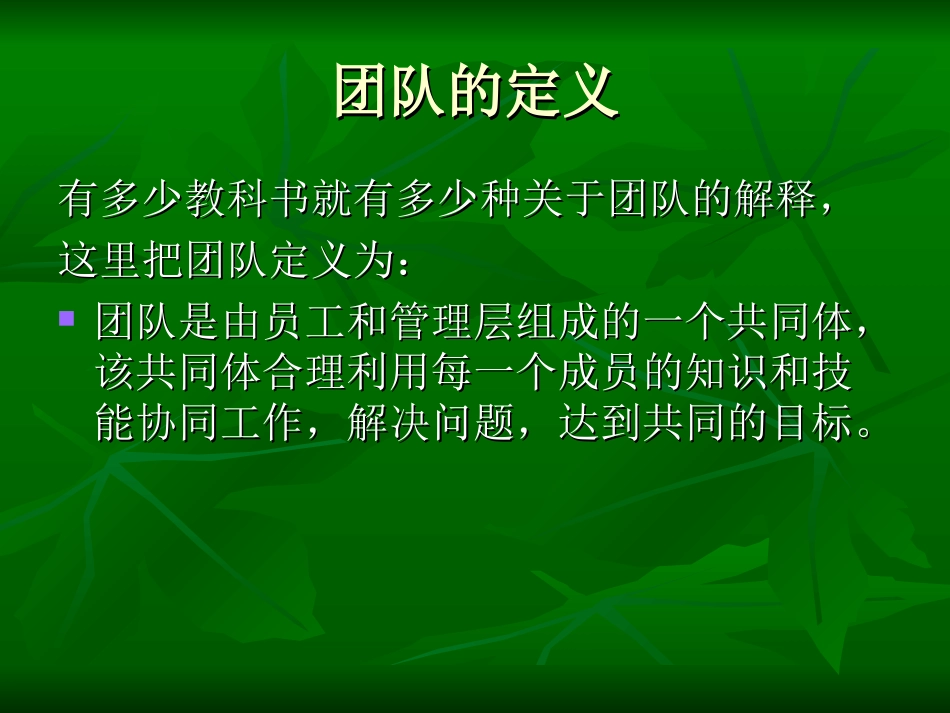 如何进行团队管理_第3页