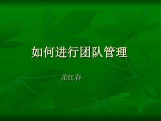 如何进行团队管理