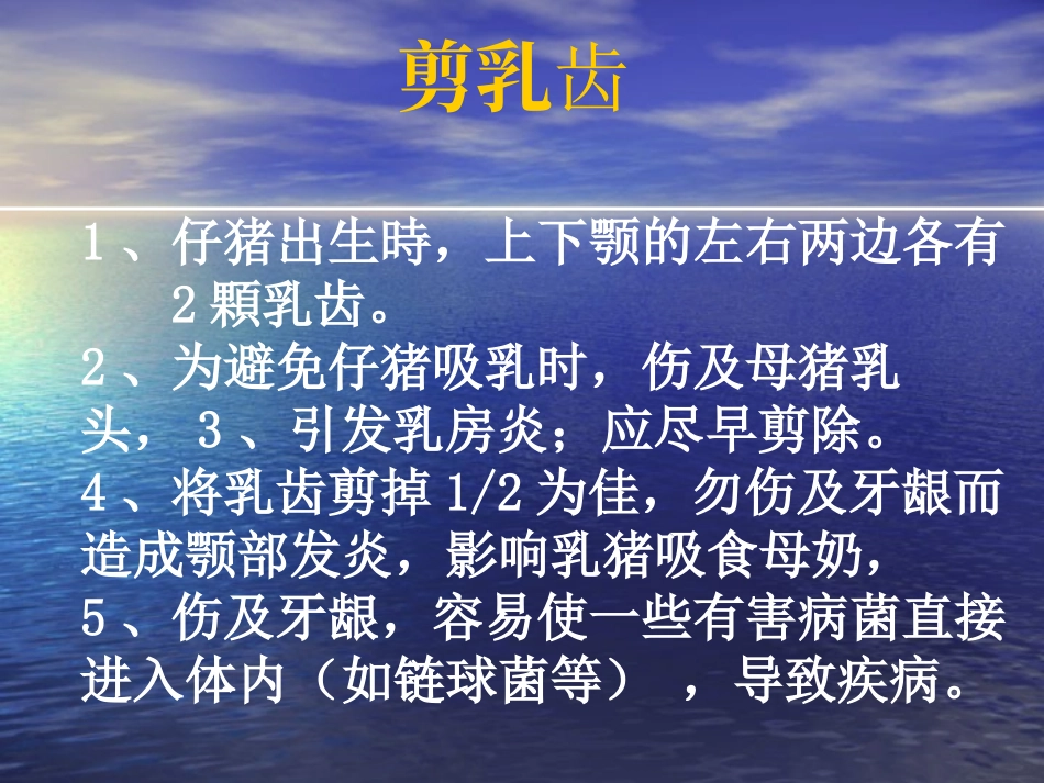 如何正确乳猪剪牙(1)_第2页