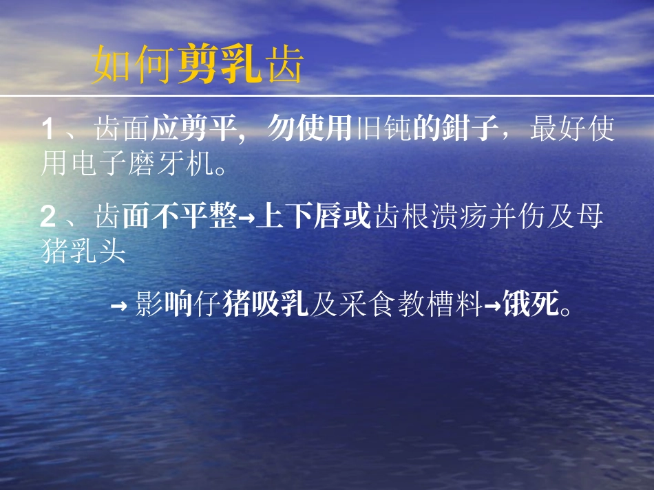 如何正确乳猪剪牙(1)_第3页