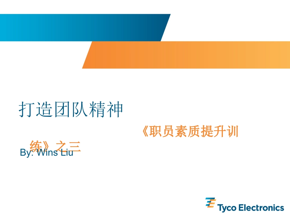 如何快速打造精英团队精神_第1页