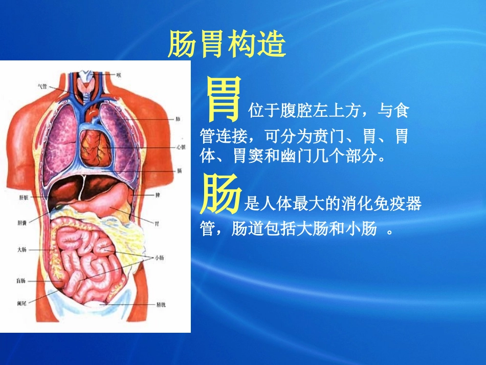 好肠胃1+1讲稿_第3页
