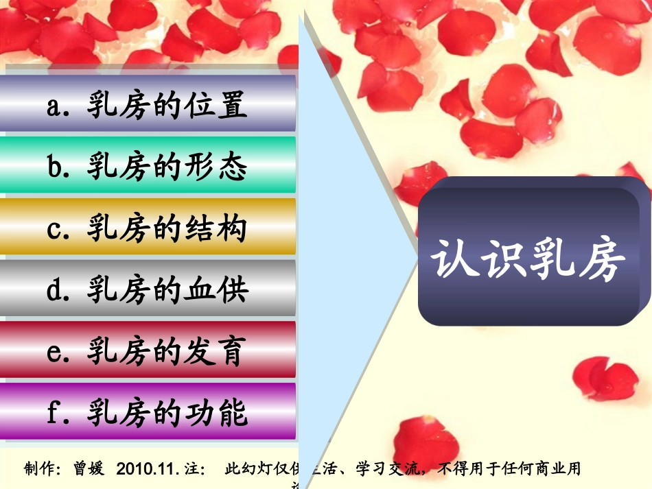 女性：关爱乳房健康公益讲座(二)_第2页