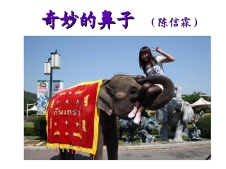 奇妙的鼻子 (1)