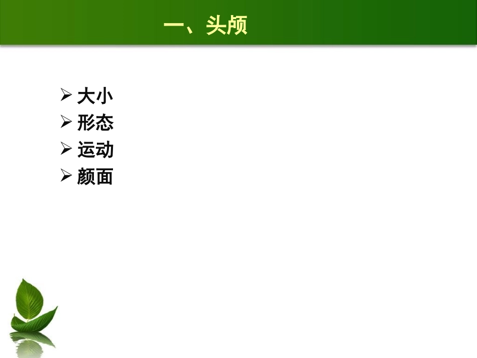 头部检查与颈部检查_第3页