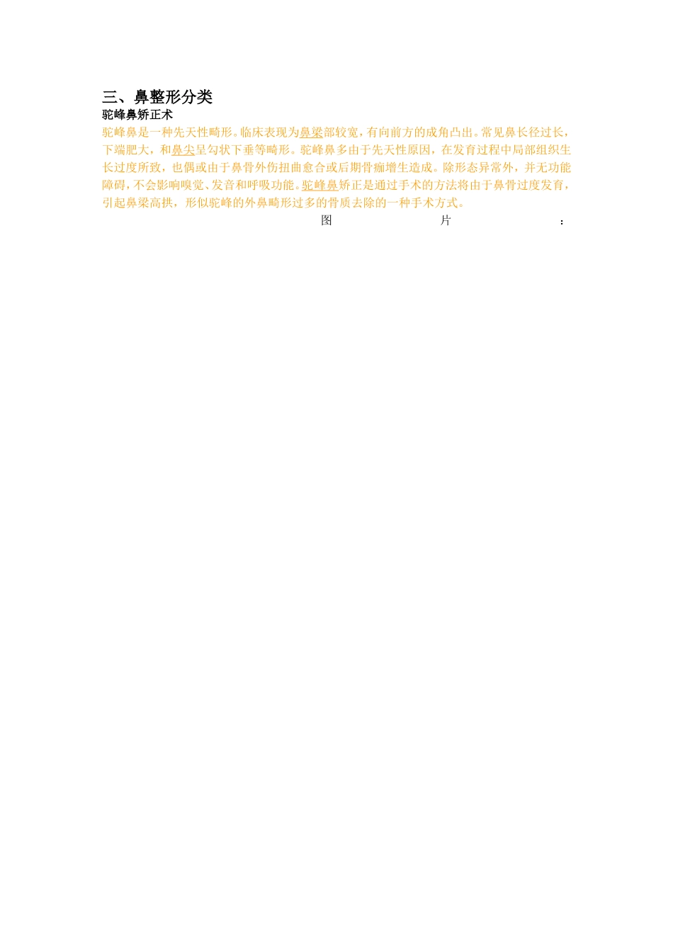 太平洋鼻部整形文字材料_第3页